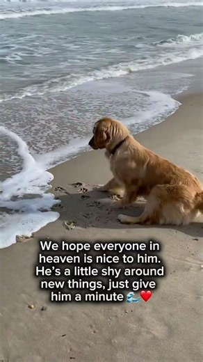 Hope Hudson’s making friends in heaven ❤️