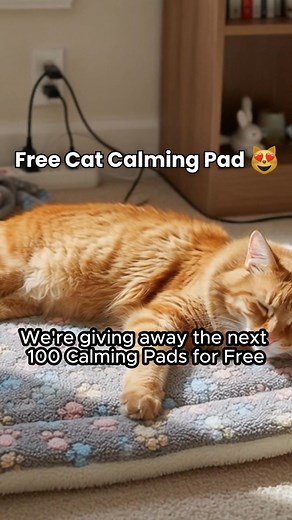 Cold floors or restless naps? This cozy Calming Pad gives your cat a warm, comfortable spot they actually want to sleep on — and it’s FREE today. | Aqua-Cats-USA