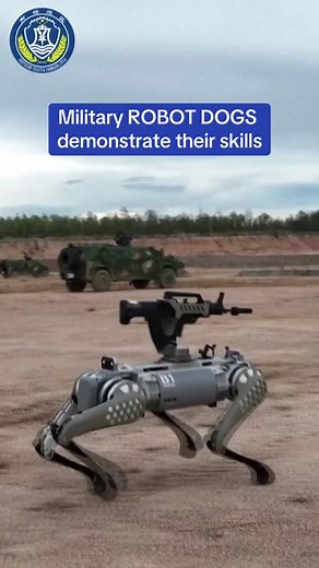 Daily Mail on TikTok