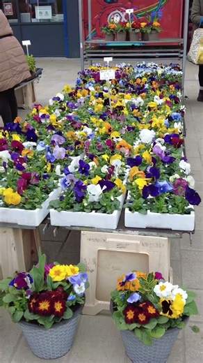 3 Must-Visit Spots in Waltham Cross 🇬🇧