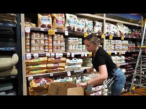 Year 10 Work Experience 2020