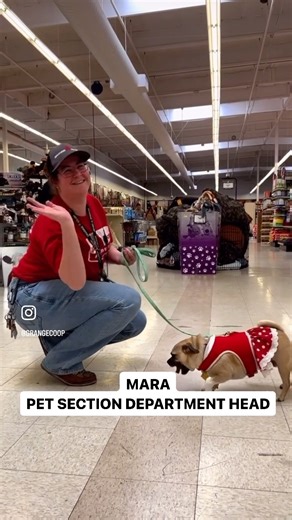 2.5K views · 44 reactions | Introducing our Yuba City team! We are grateful for the way this crew serves our California customers with endless smiles. Follow along to meet the team!  #yubacity #petstore #farmandranch | Grange Co-op | Facebook