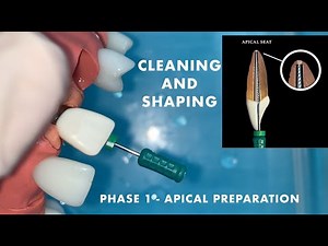 Preclinical laboratory demonstration - cleaning and shaping - apical preparation