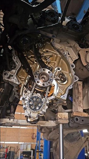 2016 Mini 1.5 (F55)(B38)Timing Chain #mini #b38 #shorts #mechanic