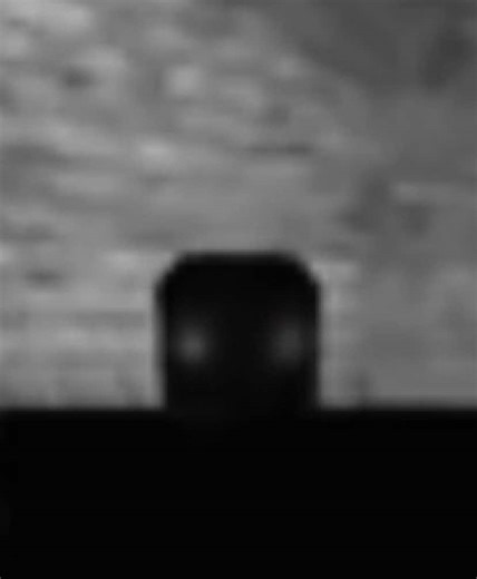 Unraveling a Mysterious Roblox Case