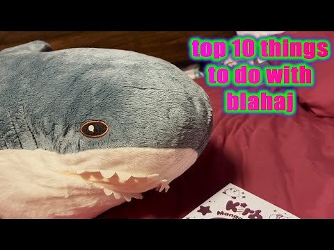 top 10 things to do with blåhaj