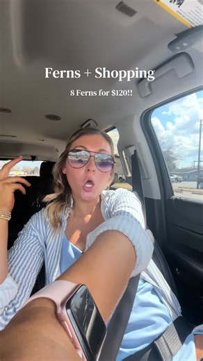 Enhance Your Southern Porch with 8 Beautiful Ferns