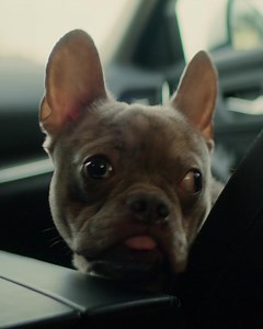 We're here to help! As you research senior living options, contact Brookdale to discover the right level of care for your unique situation. | Brookdale Senior Living