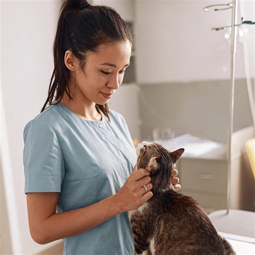 The Ultimate Guide to Pet Health Checkups