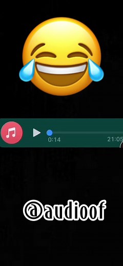 😂#😅 #audio #audiosparatiktok #memes #audioengracado