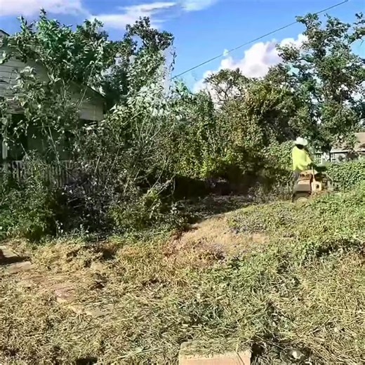 NIGHTMARE From The City - Exlusive Transformation! | Zoo Videos 10