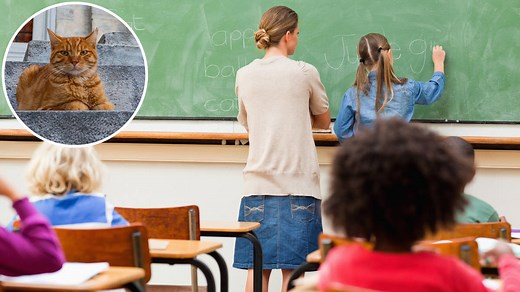 School that allowed pupil to identify as cat facing 'pupil safety' investigation | LBC
