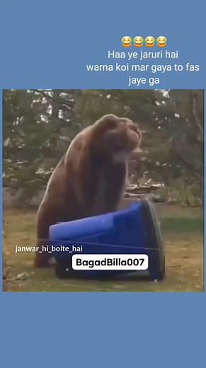 24K views · 693 reactions | Sikh Le...... BagadBilla007 #trending #funny #comedy #voice #dubb #animal #animallovers #pet #care #dogsofinstagram #dog #pet #cute #humanrights #hindi #up #kanpur #best #voice #over #artist | BagadBilla007 | Facebook