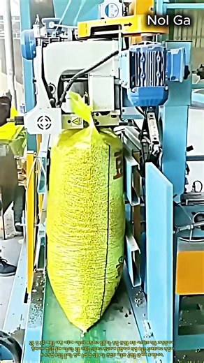 곡물 자동 포장기 밀봉 작업 현장 #worker #process #packaging #machine #factory