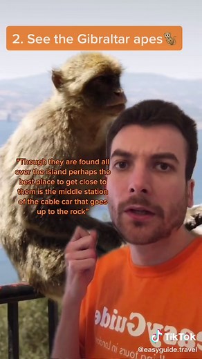 Exploring Gibraltar: Top Things to Do in the Rock of Gibraltar