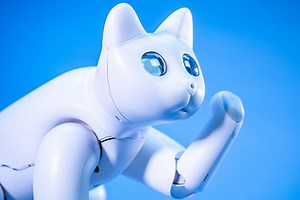 Gato robot: este es MarsCat, el felino biónico que busca ser la mascota de la casa del futuro