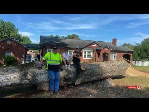 Reliable Tree Service in Concord, NC | Good Neighbour Tree Service