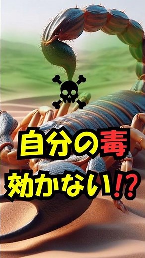 サソリはなぜ自分の毒で死なない？知らないと損する仕組み #雑学 #サソリ #shorts