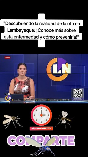 Descubriendo la realidad de la Uta en Lambayeque: Conoce más sobre esta enfermedad y cómo prevenirla
