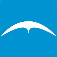 Capital Insurance Group | LinkedIn