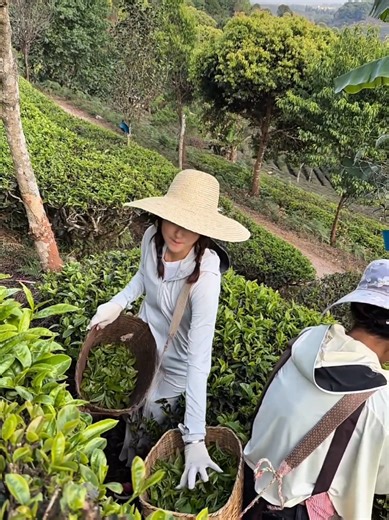 Một chút sân si nhỏ