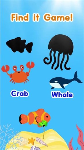 Find the Sea Animal FAST! 🐙 | English 🇬🇧 & 🇯🇲 Patois