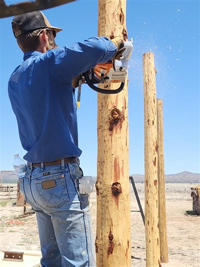 cowboy lumberjack #fyp #stahl #husqvarna #lumber #blowthisup | lumber