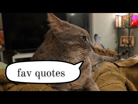 My Favorite Quotes from "Yes Please" by Amy Poehler