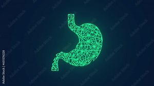 Human stomach acid reflux medical examination animation