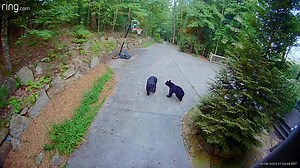 14K views · 356 reactions | Cherry Log, GA this morning… video from Steph Schnitker | James Spann | Facebook