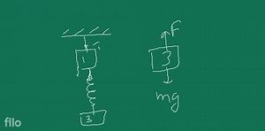 The reading of spring balance as shown in figure is \left[g=10 ... | Filo