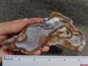 Lapidary Collection Sale Agates, Fossils, Jewelry, Amethyst, & more | Auction Masters