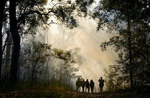 Cultural burning is better for Australian soils than prescribed burning, or no burning at all