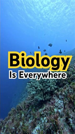 Biology is Everywhere | Biology Isn’t Memorizing 📚❌#scienceshorts #science #cellreference