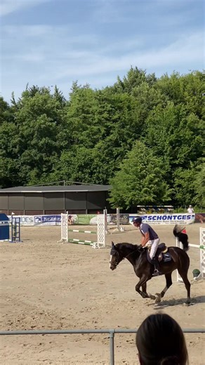 🐎 #Pferde #pferdesport #springpferde #springpferdeturnier #summer #classic