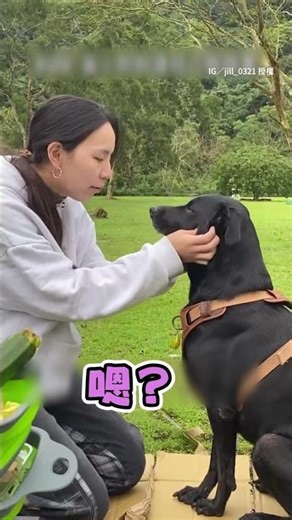 【不敢調皮了QQ】黑狗貪玩跑出規定範圍 被媽訓後滿臉委屈待紙板上 #Shorts