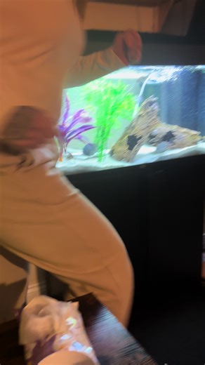 Like a duck 😂 #farting #fart #reel #fyp #viral