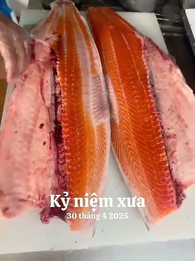 Kỹ thuật phi lê cá hồi Sashimi: Đường dao sắc lẹm và bí quyết lọc xương tinh tế