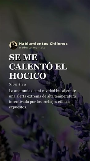 Traductor Mental de Felipe Neira - Libro y Significado de 'Se Me Calentó el Hocico'