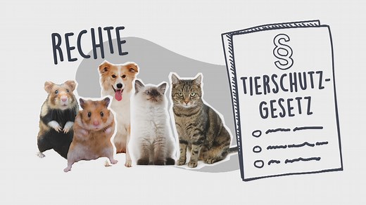 logo! erklärt: Rechte von Tieren
