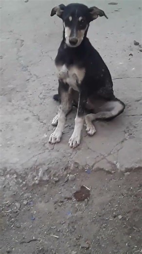 aare eske lak kam hai video me kuchh nhi yhi #viralshorts #terndig #reminding #viralshorts #love