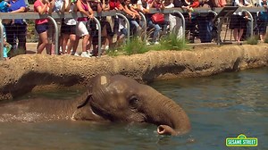 Sesame Street: Elmo Visits the Zoo (Elmo at the Zoo) - Dailymotion Video