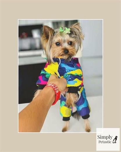 Dog Jumpsuit Thicken Warm Winter Dog Clothes for Small Dogs