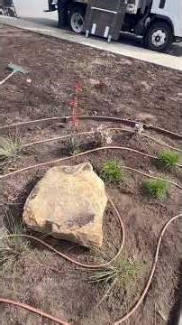 Drip for California Natives