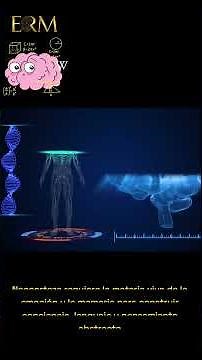 La estructura tríadica funcional del cerebro: Síntesis integradora.