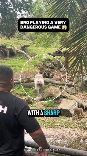 What Happens When You Flex at a Baboon?