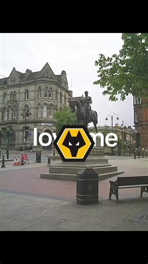 Wolves in Wolverhampton: A Closer Look