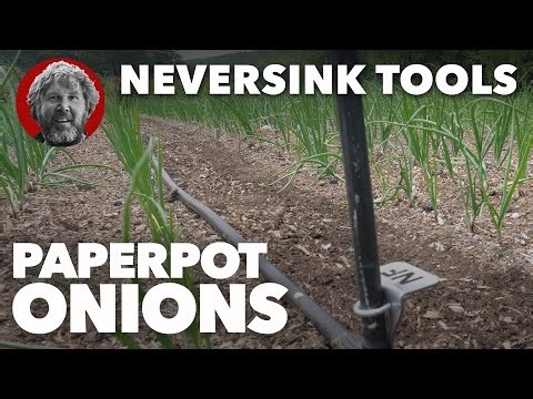 Paperpot Onions - The Quickest Way to Plant