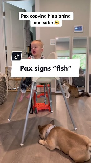 Pax Signing Time: Adorable Baby Signing Language Moments