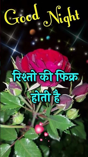 Good night Hindi poetry 🌹 good night video shayari 🌹 good night status 🌹 #goodnight